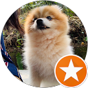 Foto de perfil de Xuan